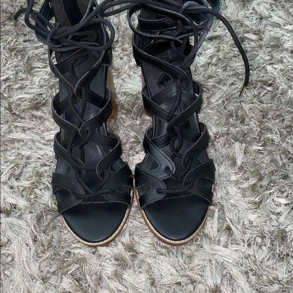Sanders wedges